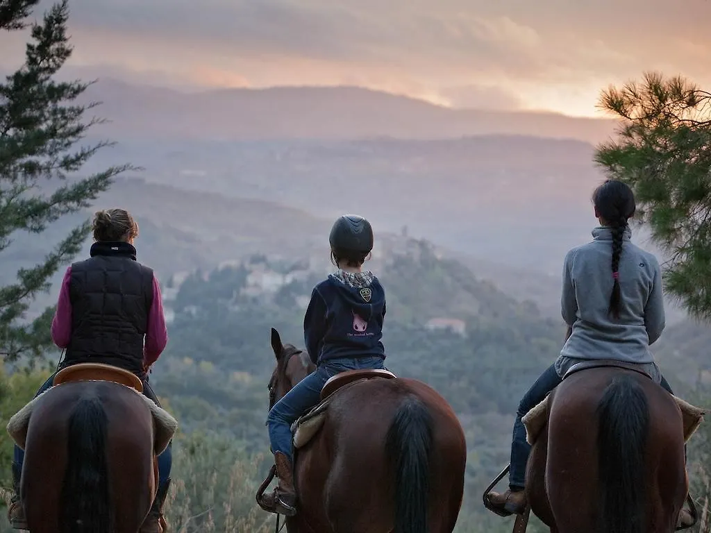 Tenuta La Silva Seggiano Alloggio per agriturismo