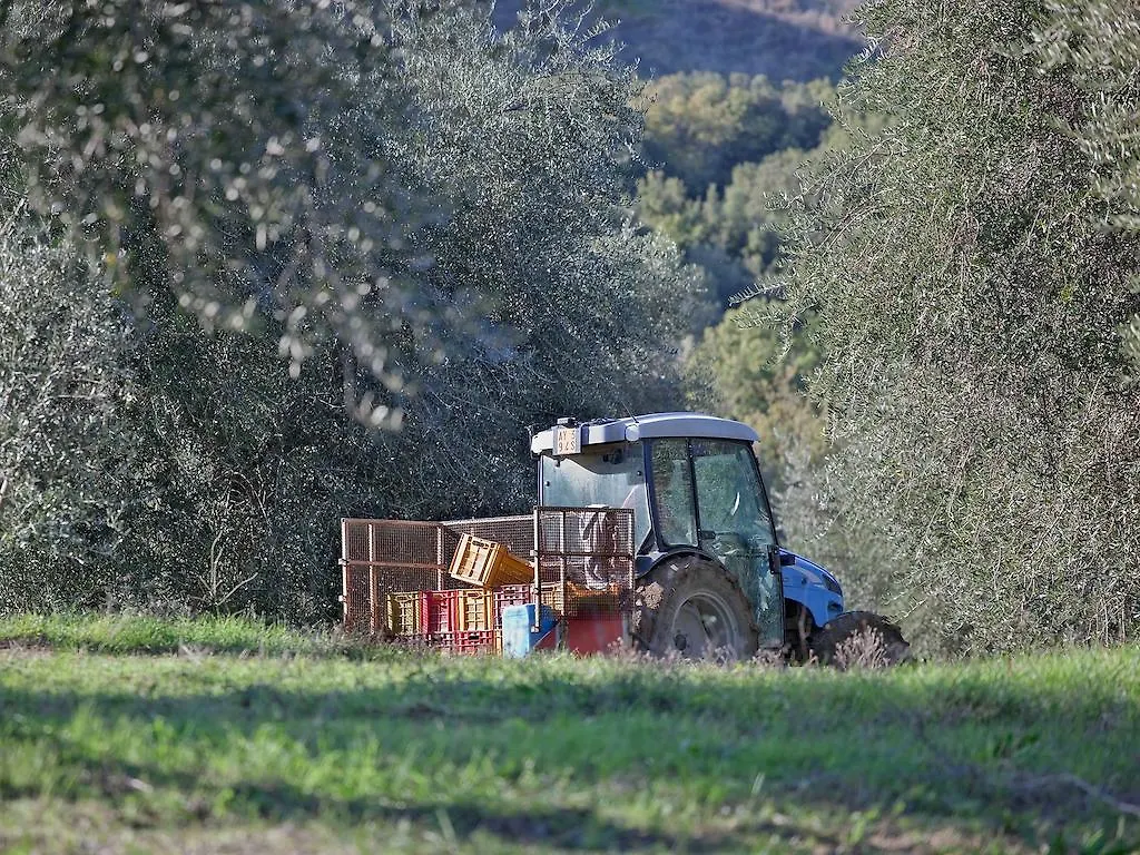 Alloggio per agriturismo Tenuta La Silva Seggiano