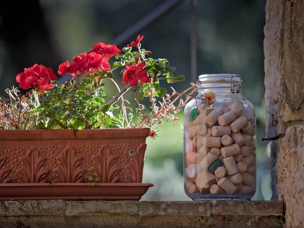 Tenuta La Silva Seggiano Alloggio per agriturismo