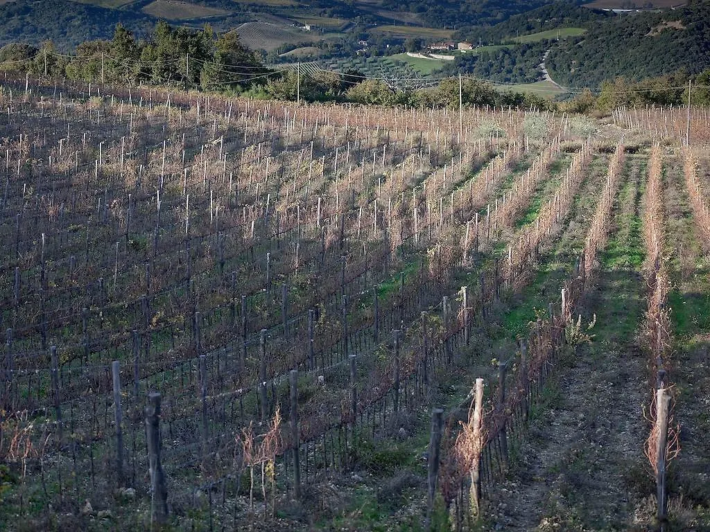 Alloggio per agriturismo Tenuta La Silva Seggiano